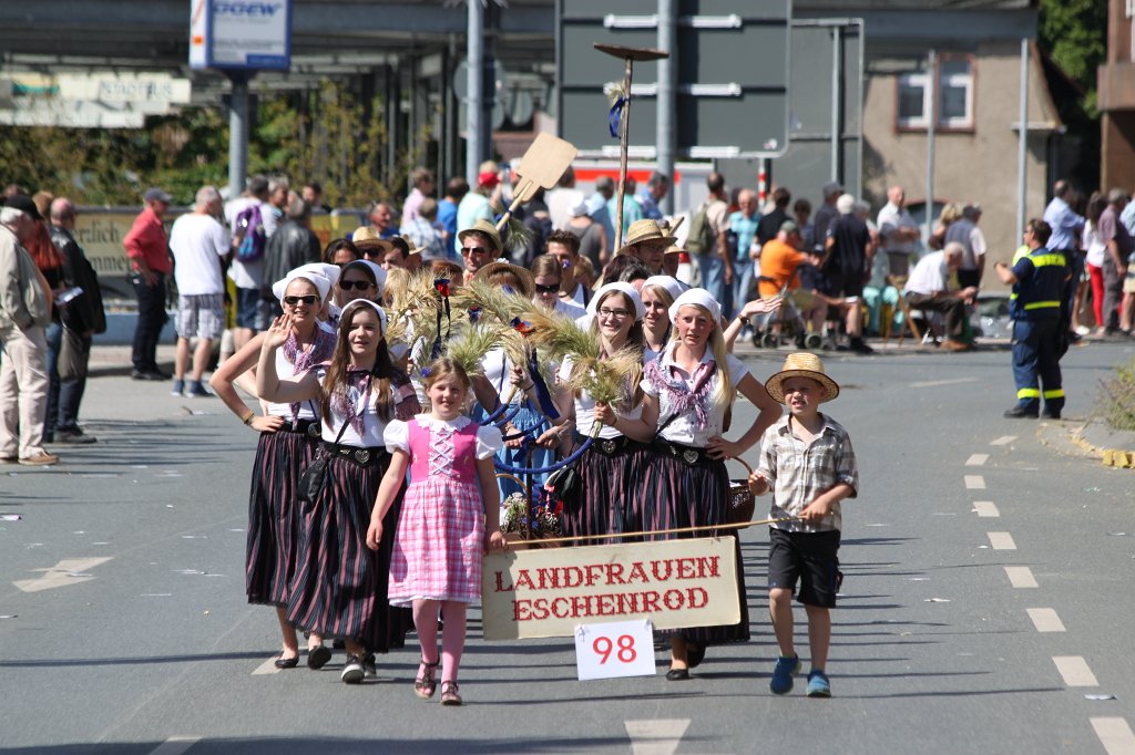 IMG_1473.JPG -  Hessentag  2014 pageant - local costume group