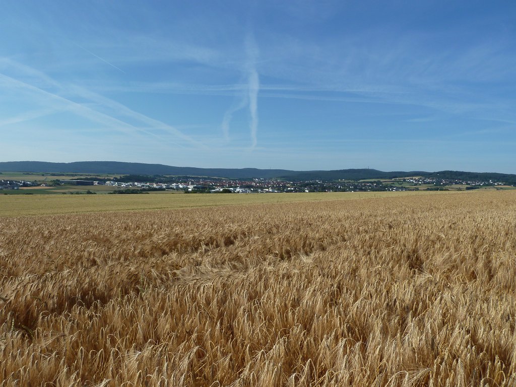 P1120698.JPG -  Neu-Anspach 
