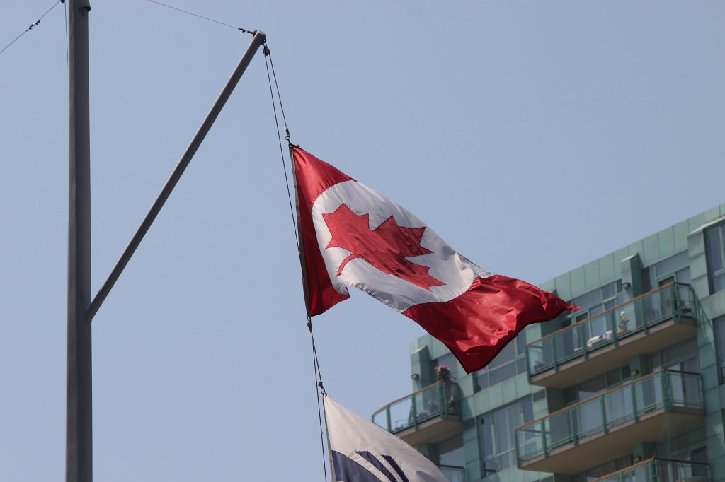 IMG_2360.JPG - Maple leaf