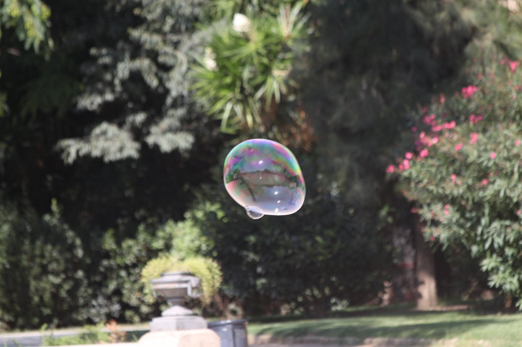 IMG_4381.JPG - Soap bubbles