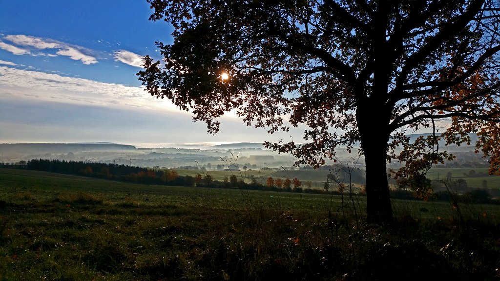 20141106_084827_c.jpg - Morning fog in  Neu-Anspach 