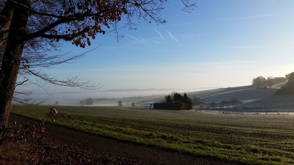20141125_093137.jpg - Hoar frost morning in the Häuserbach valley