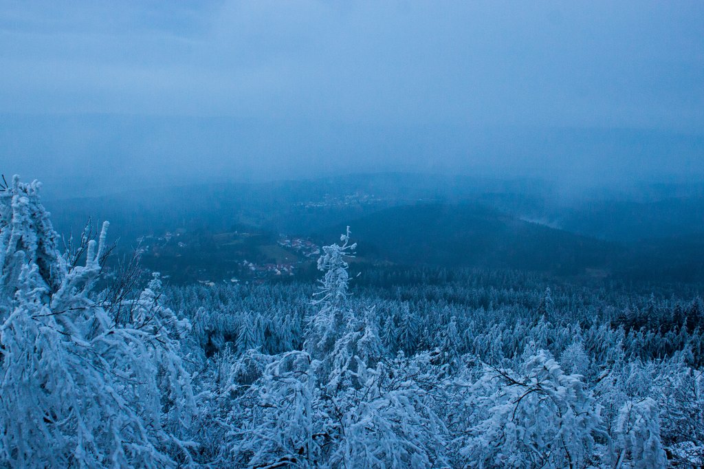IMG_8070_c.jpg - Winter in the  Taunus  - Looking down into the green and fog