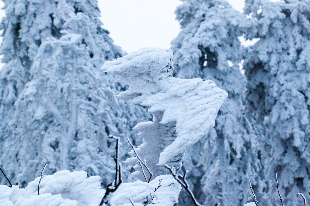 IMG_8083_c.jpg - Winter in the  Taunus  - fly away