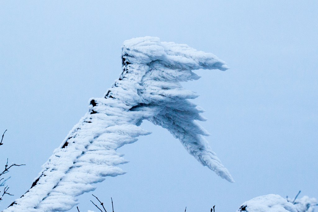 IMG_8086_c.jpg - Winter in the  Taunus  - Fluke