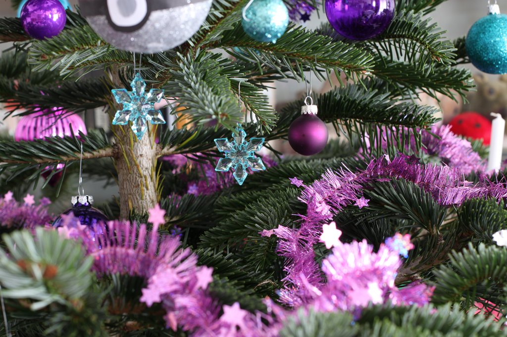 IMG_8203.JPG - Weihnachtsbaum
