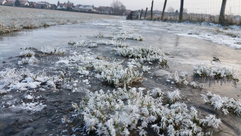 20150121_093206.jpg - Hoar frost