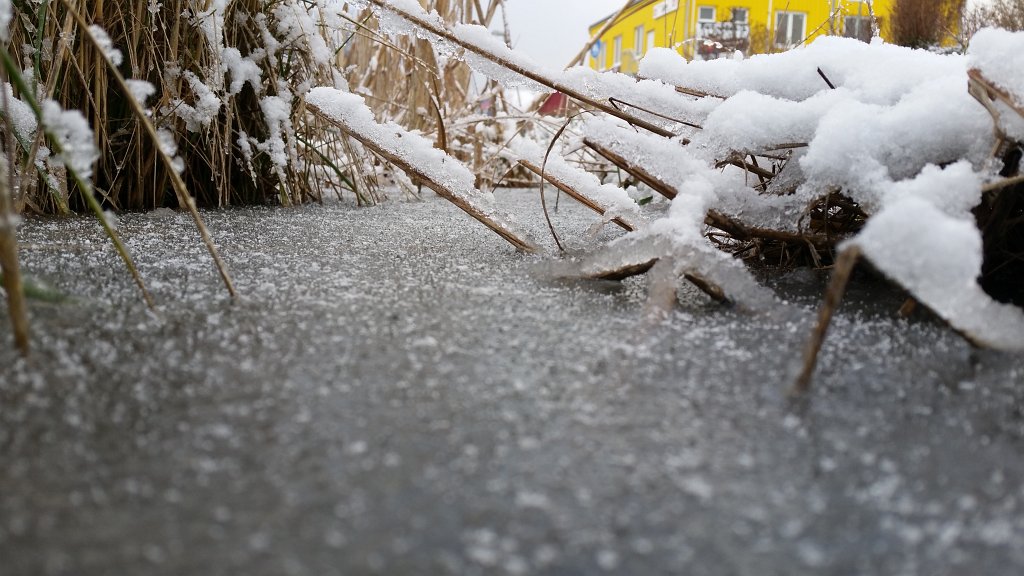 20150130_085005.jpg - Frozen puddle