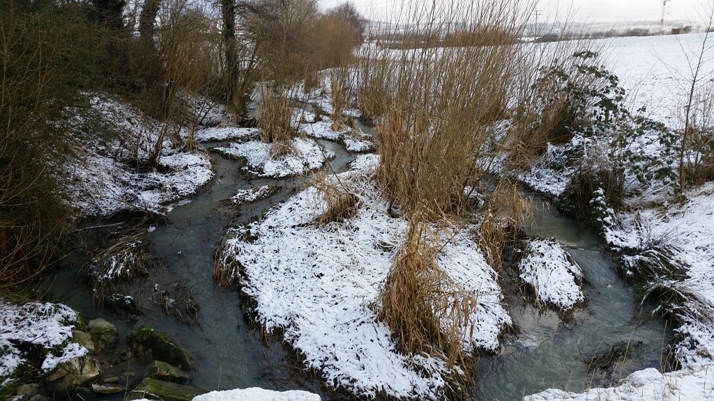 20150130_090052.jpg - Flow