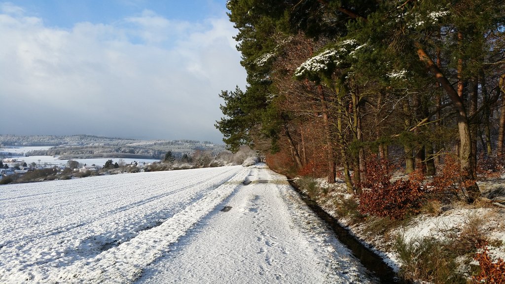 20150130_092202.jpg - White path