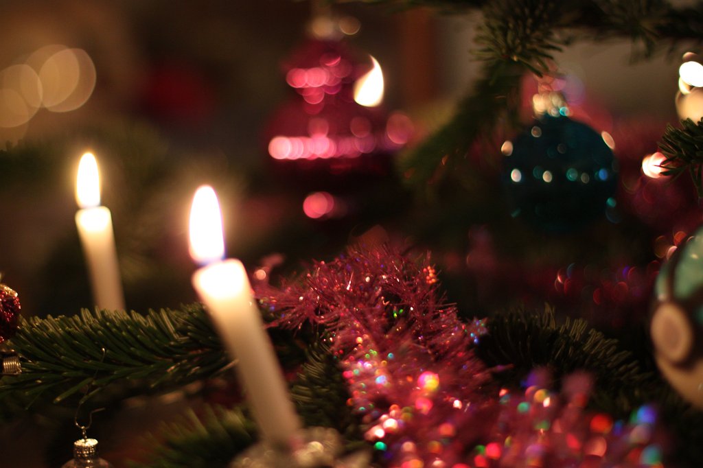 IMG_8358.JPG - Christmas tree