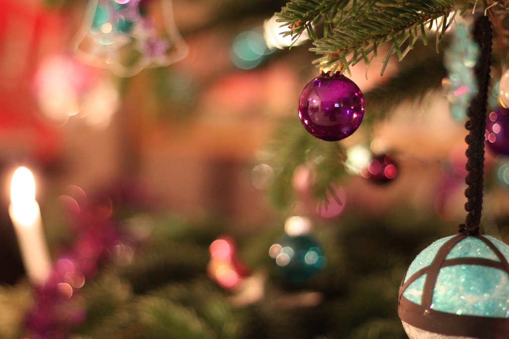 IMG_8361.JPG - Christmas tree