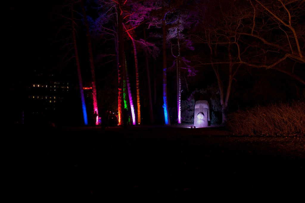 IMG_8446_c.jpg - Frankfurter Palmengarten - Winterlichter - BÃ¤ume und Moai