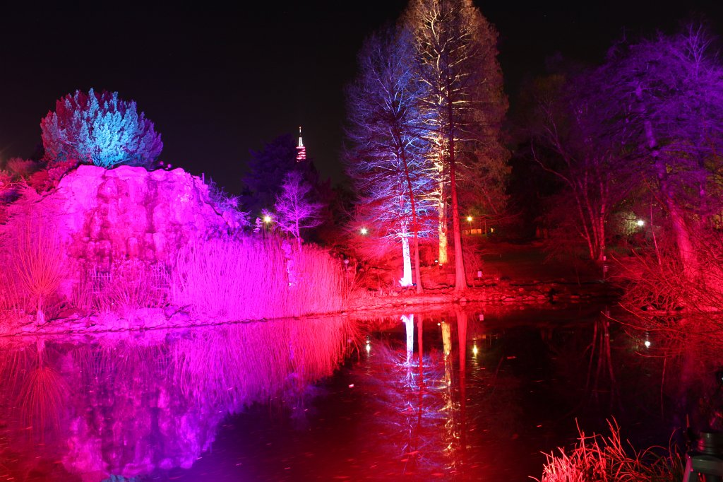 IMG_8458.JPG - Frankfurter Palmengarten - Winterlichter - See und Steingarten
