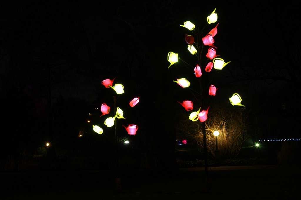 IMG_8465.JPG - Frankfurter Palmengarten - Winterlichter - Gießkannenbaum
