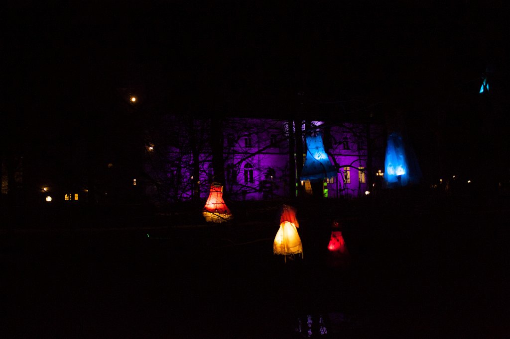 IMG_8483_c.jpg - Frankfurter Palmengarten - Winterlichter - Kleiderbaum