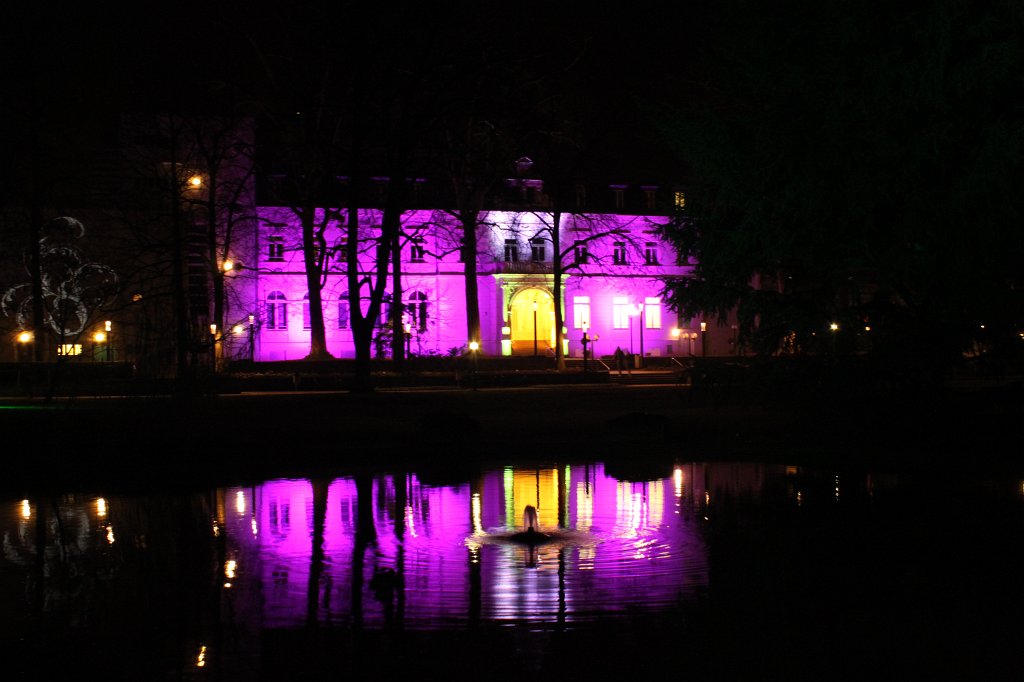 IMG_8486.JPG - Frankfurter Palmengarten - Winterlichter - Palmenhauseingang