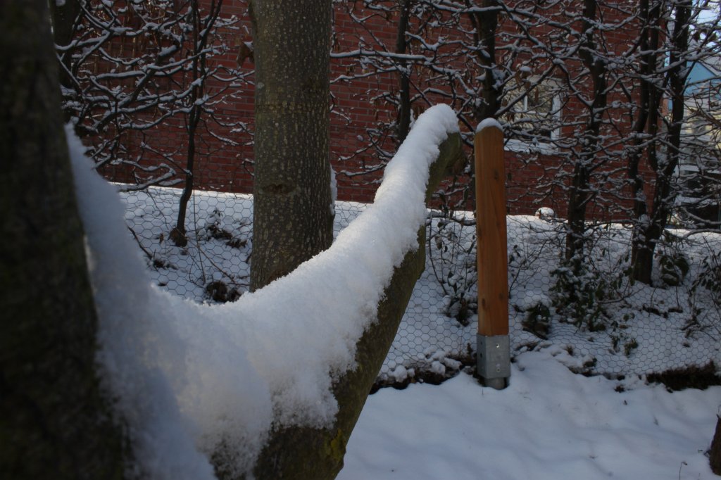 IMG_8578.JPG - Snow cap