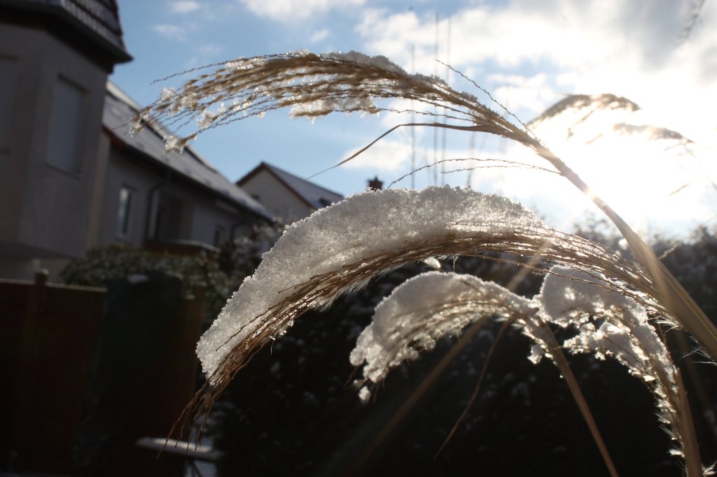 IMG_8589.JPG - Snow on grass