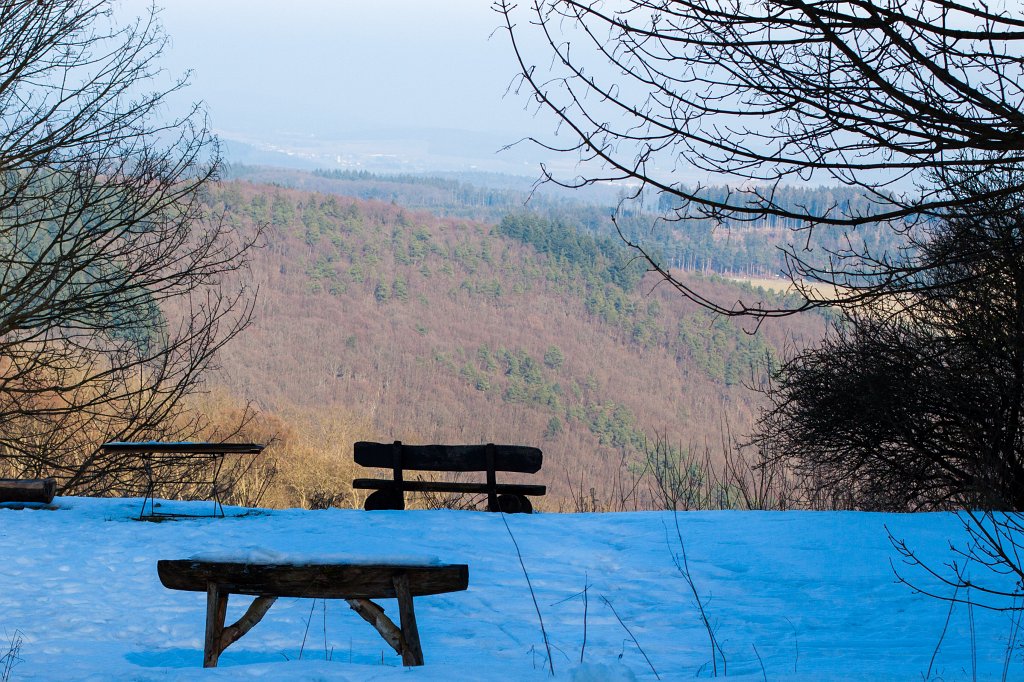 IMG_8707_c.jpg - Spring in sight