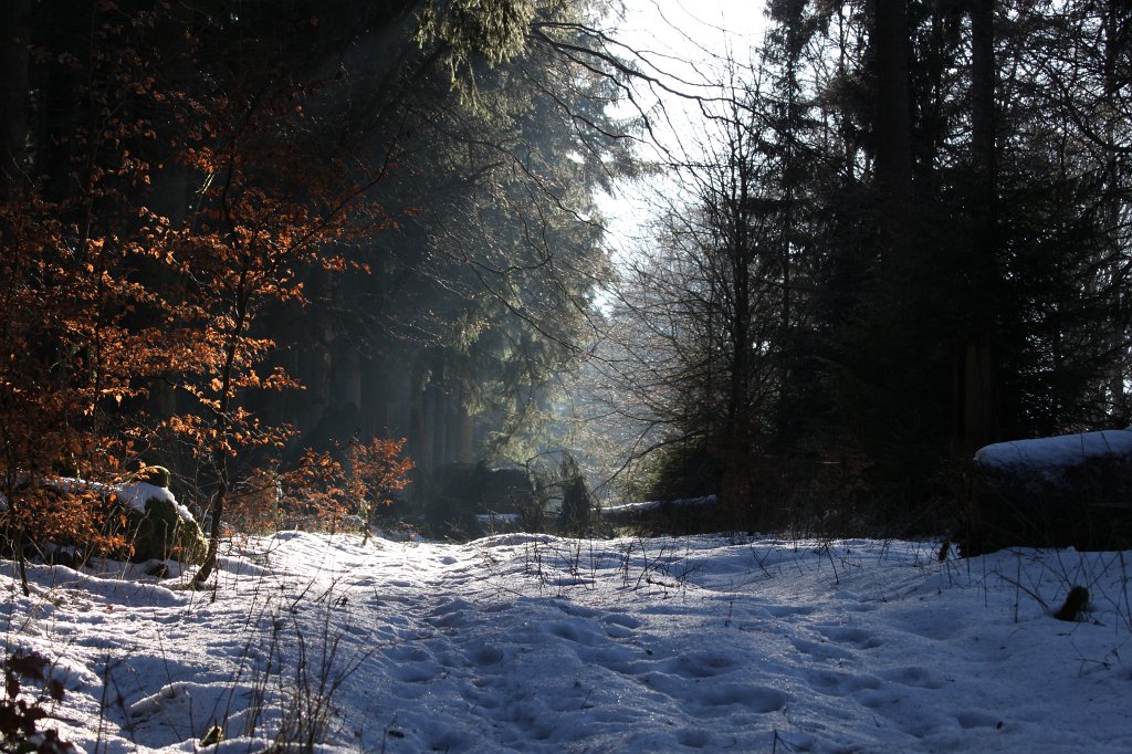 IMG_8709.JPG - Blocked path