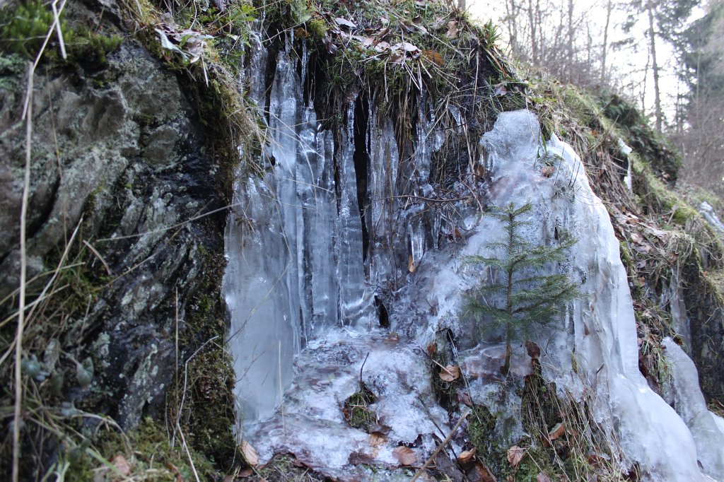 IMG_8745.JPG - Icicles