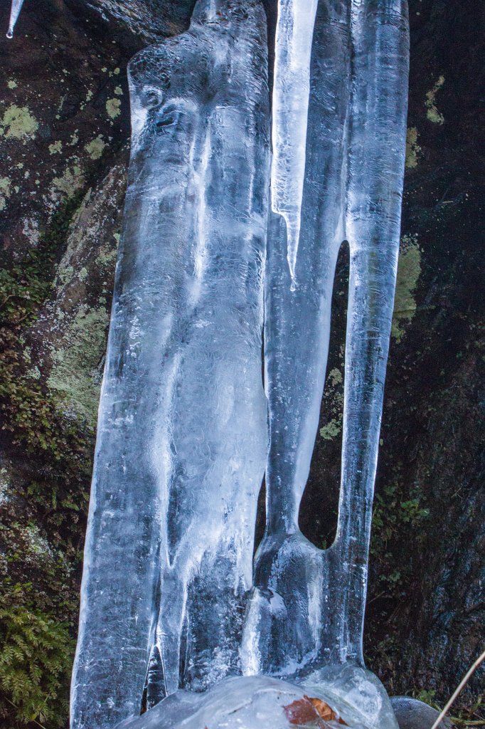 IMG_8764_c.jpg - Icicles