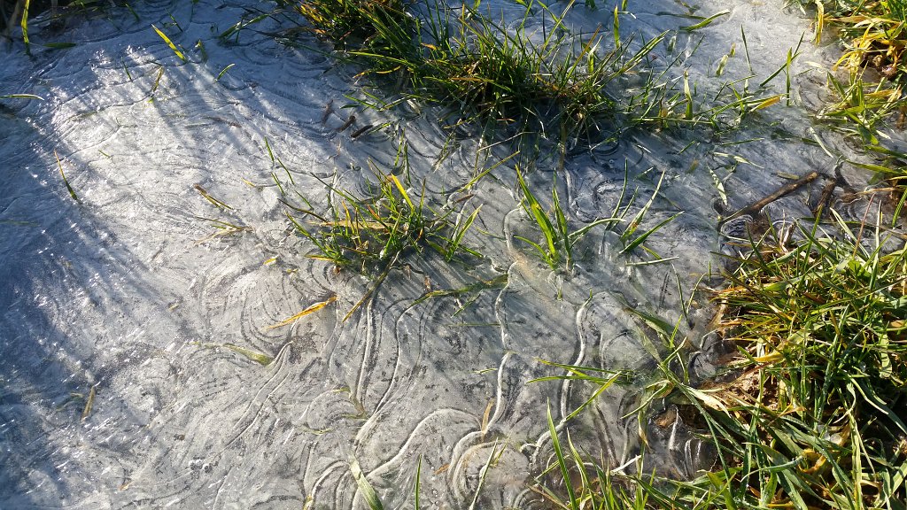 20150303_083440.jpg - Frozen puddle