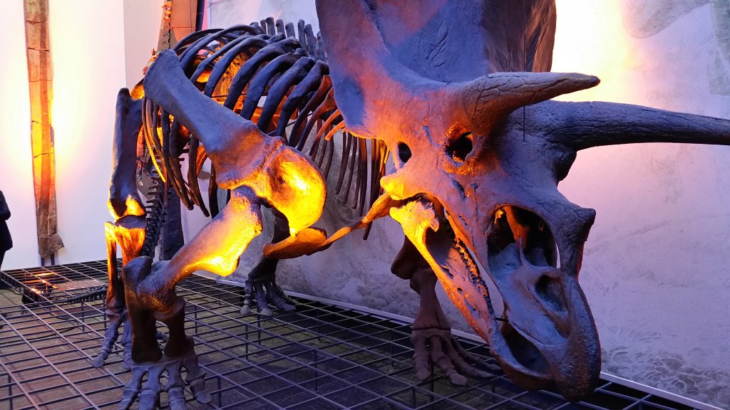 20150425_233653.jpg - Nacht der Museen mit Party im  Senckenberg Naturmuseum 