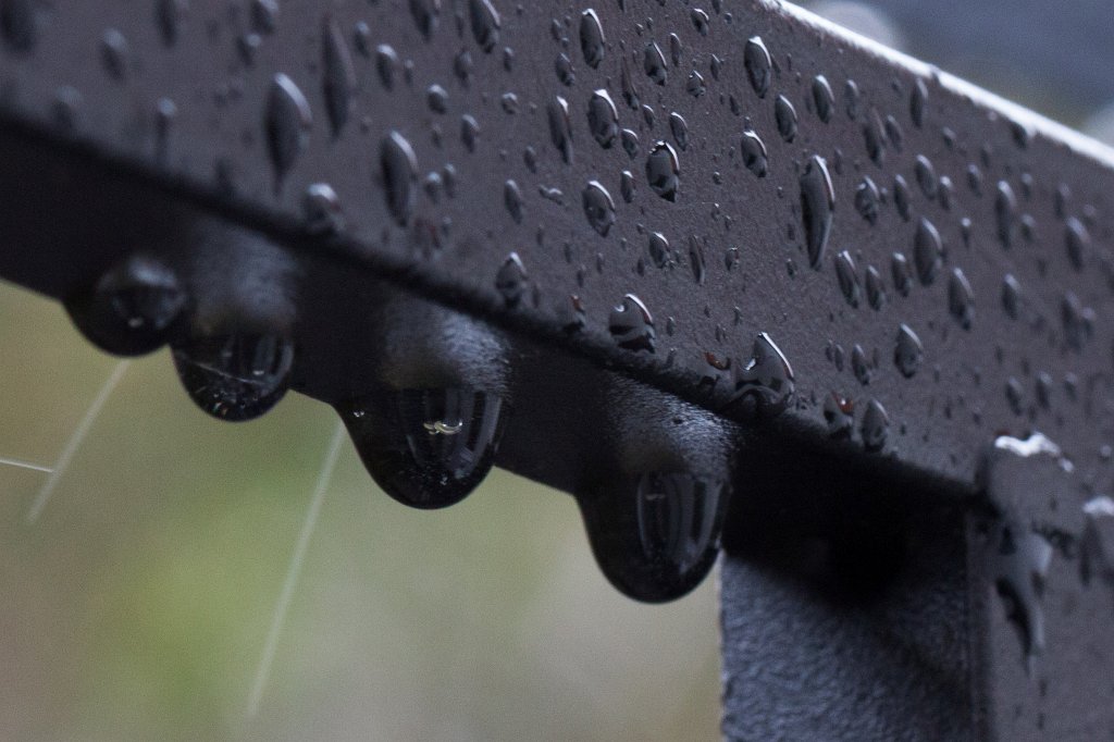 IMG_9445_c.jpg - Black droplets