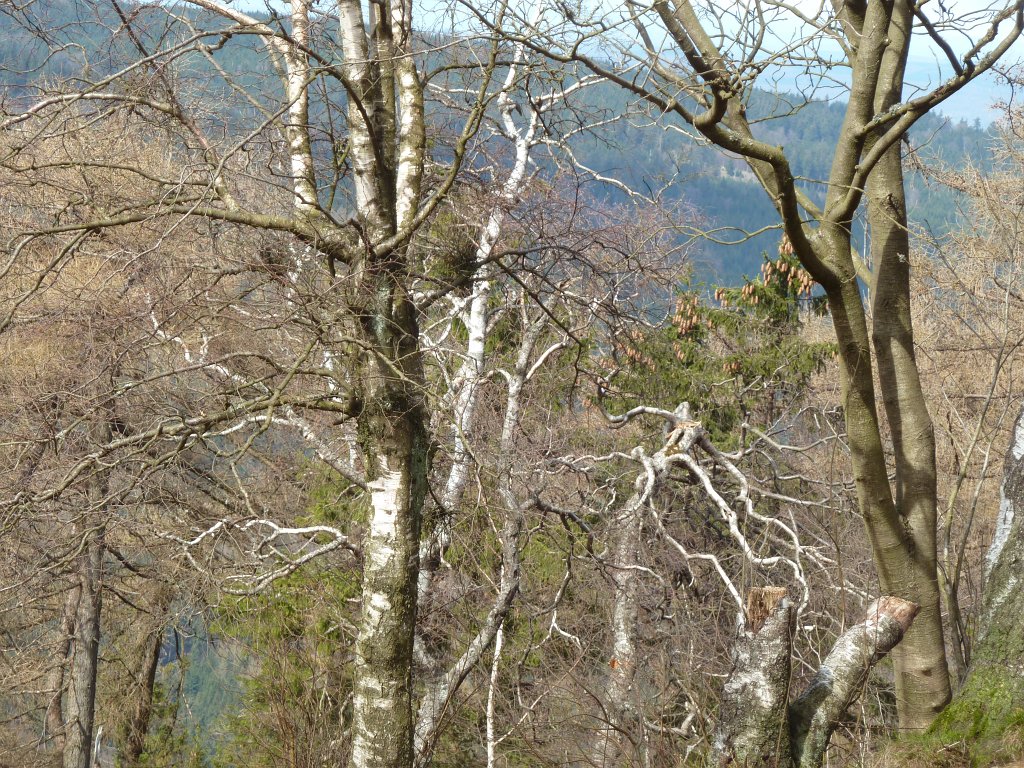 P1130766.JPG - Top of  Altkönig 
