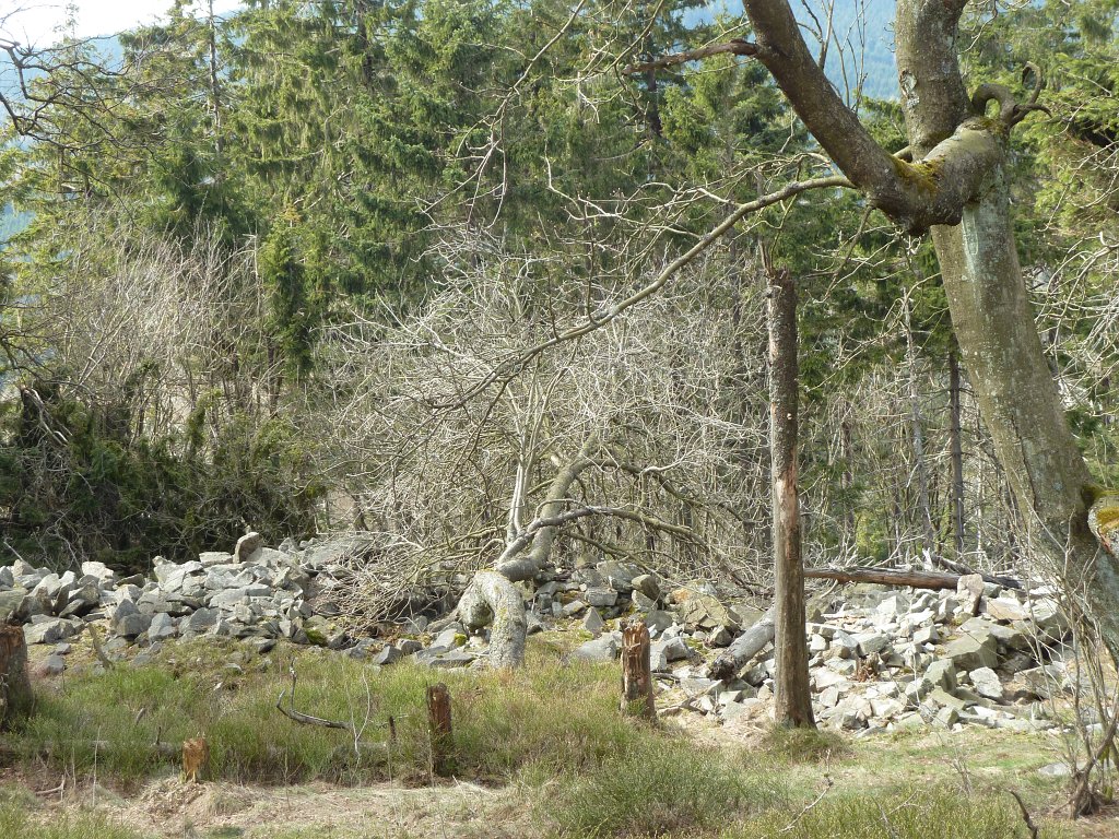 P1130767.JPG -  Celtic  wall on the  Altkönig 