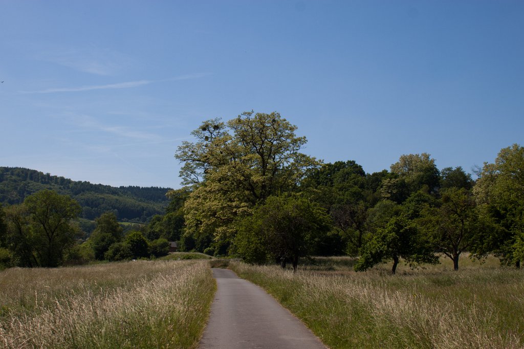 IMG_0945_c.jpg -  Lahn  valley