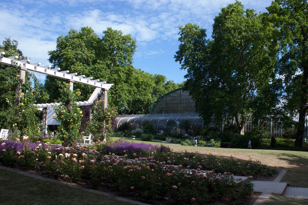 IMG_1187_c.jpg -  Palmengarten 