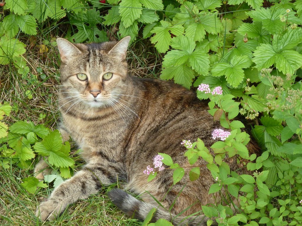 P1140354.JPG - Emily