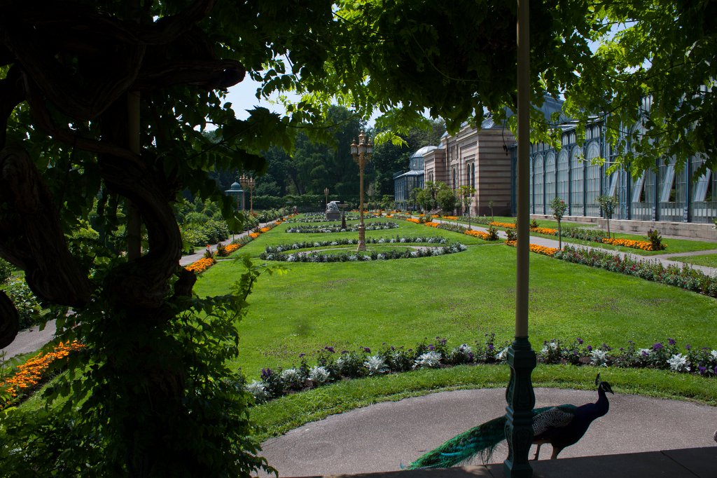 IMG_1450_c.jpg - The  garden  of the  King of Württemberg 
