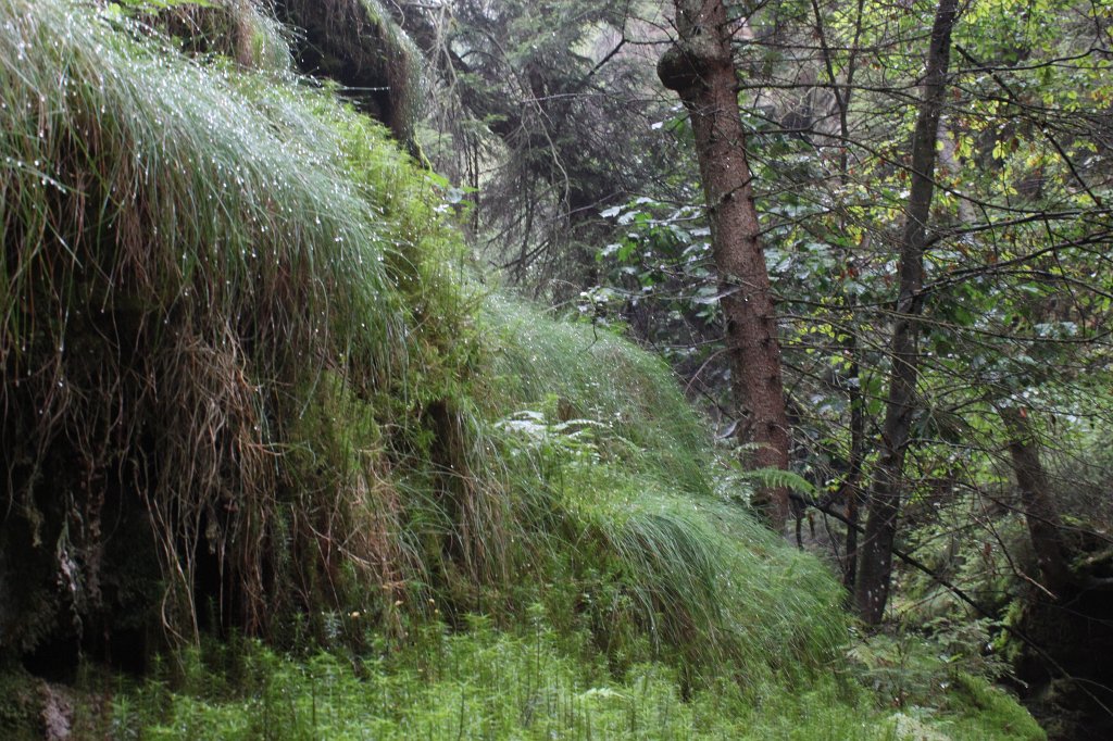 IMG_3701.JPG - Aufstieg durch die  Schwedenlöcher  zur  Bastei 