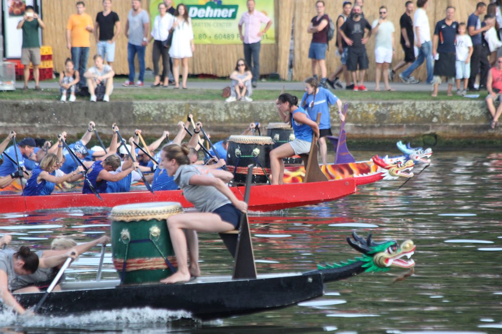 IMG_4206.JPG -  Dragon boat  race on the  Main  river at the  Museumsuferfest  in  Frankfurt 