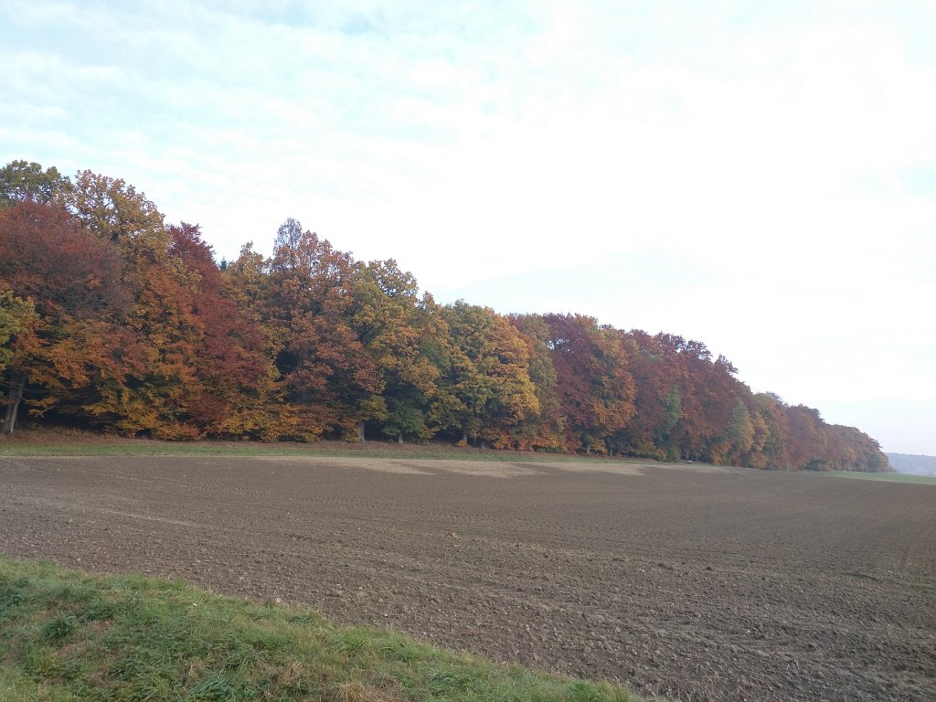 IMG_20151026_092208.jpg - Indian summer