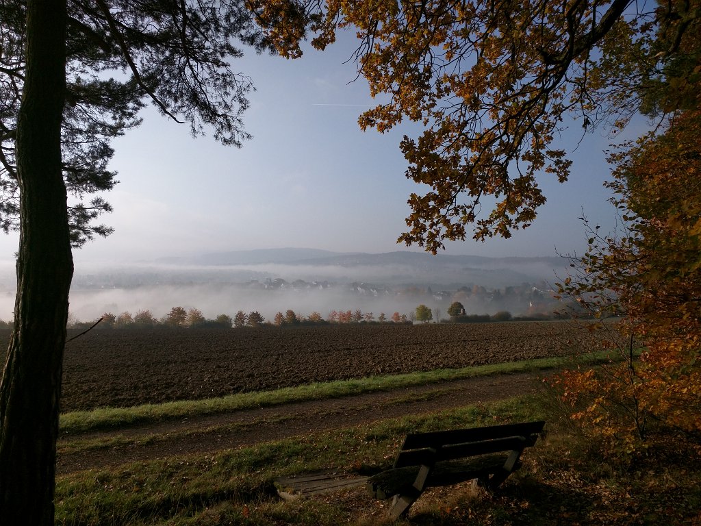 IMG_20151027_091057.jpg - Bench with a view