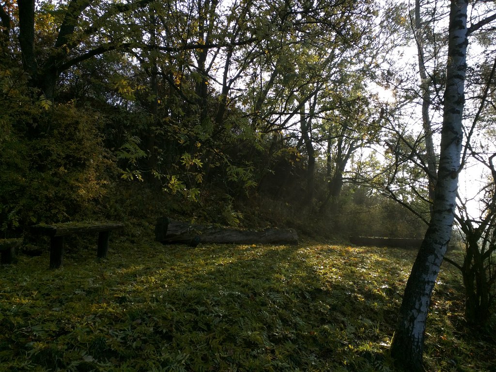 IMG_20151027_093803.jpg - Covered resting place