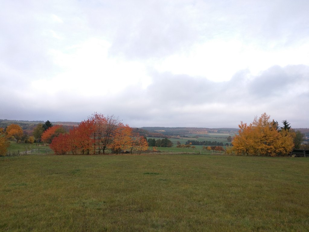 IMG_20151029_095009.jpg - Indian summer