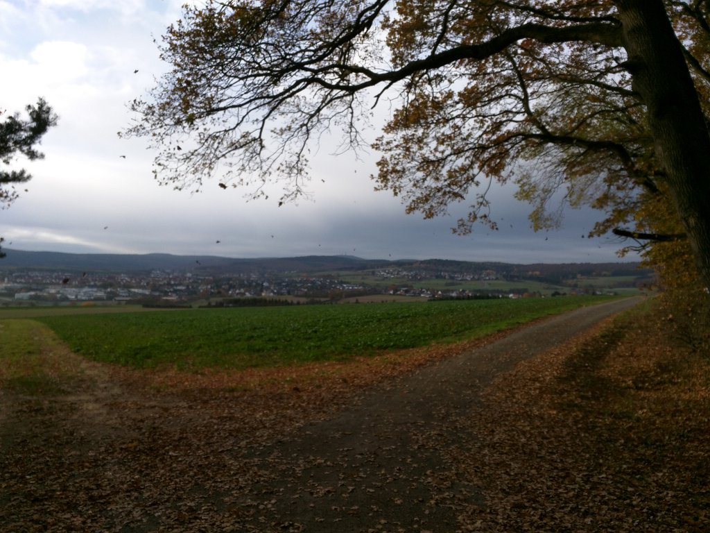 IMG_20151106_085207.jpg - Storm of leaves