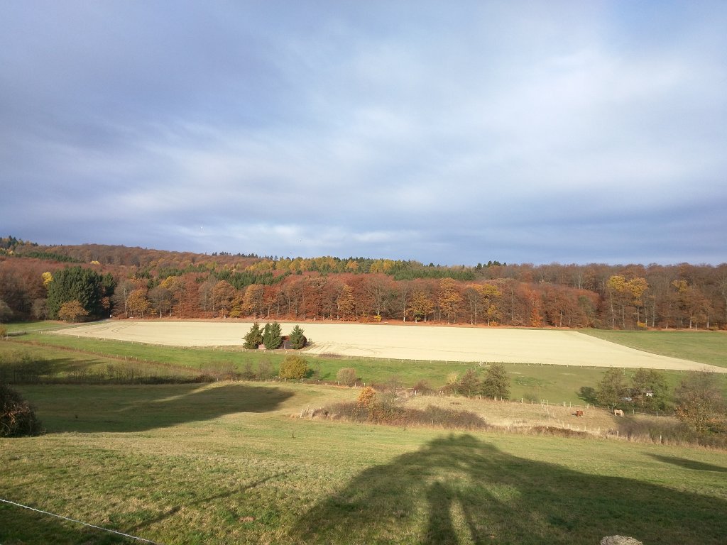 IMG_20151106_093157.jpg - Autumn