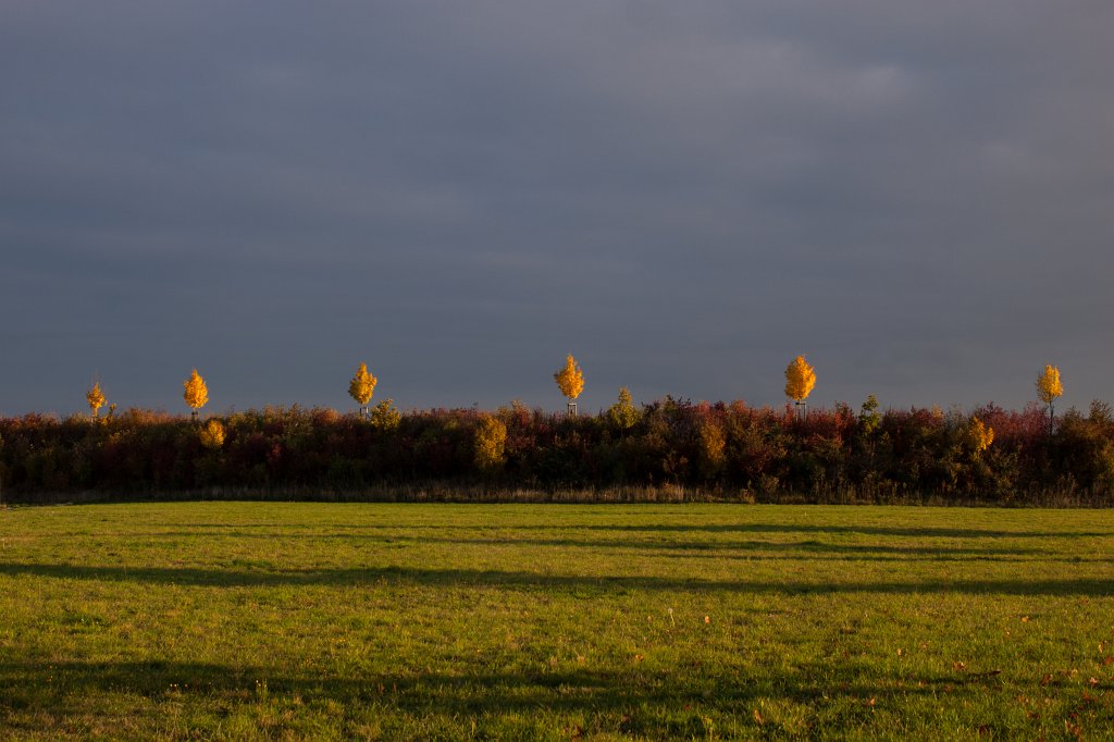 IMG_5268_c.jpg - Yellow flags