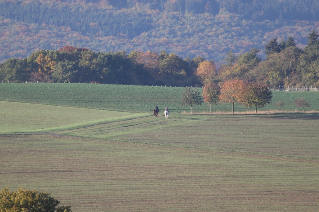 IMG_5288.JPG - Riding into colored Taunus