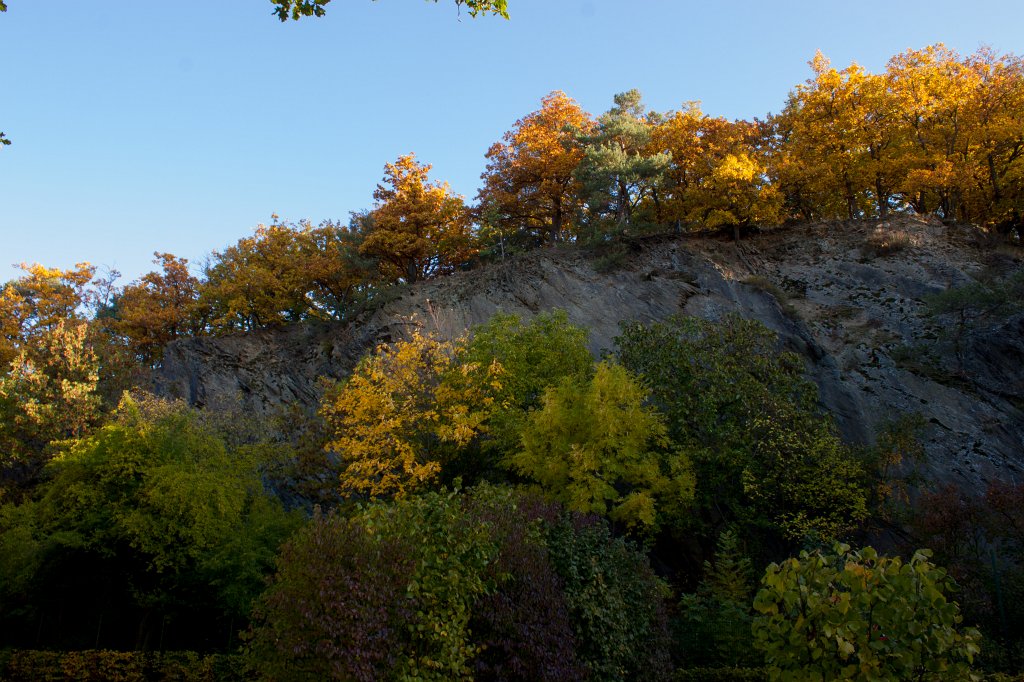 IMG_5313_c.jpg - Trees on top of the rock