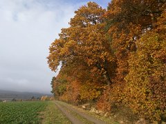 IMG_20151029_090456