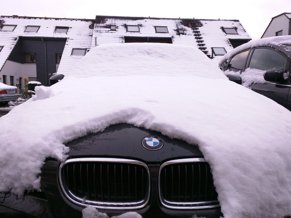 IMG_20151123_093652.jpg - Snow eater