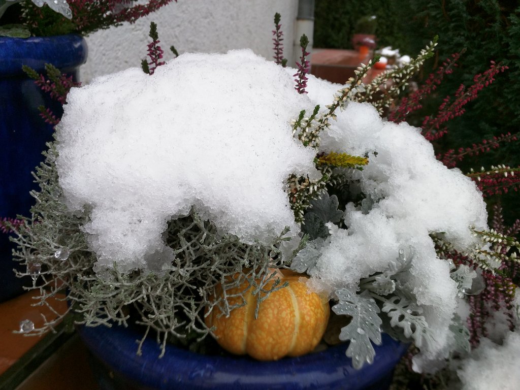 IMG_20151123_094415.jpg - Winter is coming